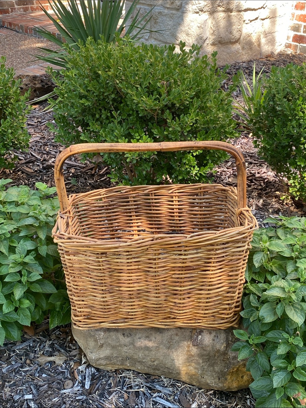 Vintage Woven Rattan Gathering Basket with Bamboo Handle in Natural Brown